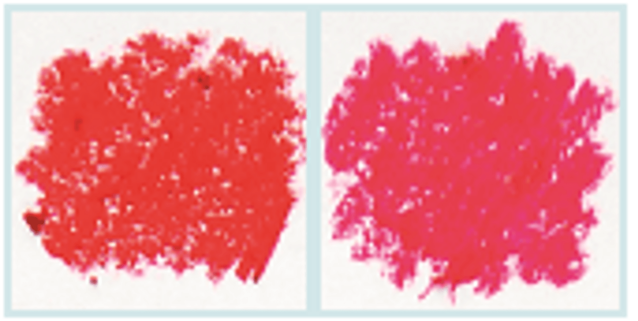 Bi-Sexual Pencil image 0