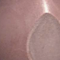 Priscilla (L48) image 0