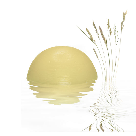 CONDITIONER BAR: HYDRA ROCK (Normal/Dry Hair) - SOLD OUT image 0