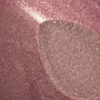 Zelda (L35) image 0