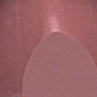 Bourgoise (L55) image 0