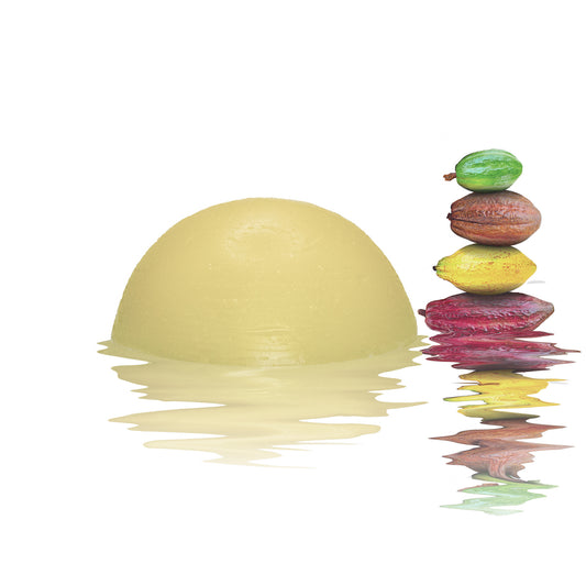 CONDITIONER BAR: YOUR COLOUR ROCKS (Colour Treated Hair) image 0