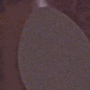 Difficile (L54) image 0
