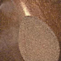 Vanna (L42) image 0