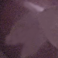 D-Cup (L59) image 0
